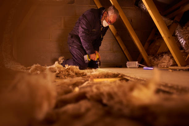 Best Eco-Friendly Insulation in Yosemite Lakes, CA